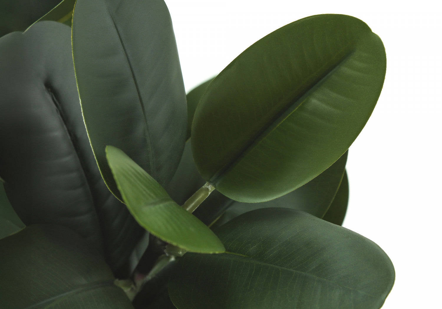31 Garcinia Tree in 7 Marble-Look Pot - Green Indoor Plant for Home Decor, Office, or Gift