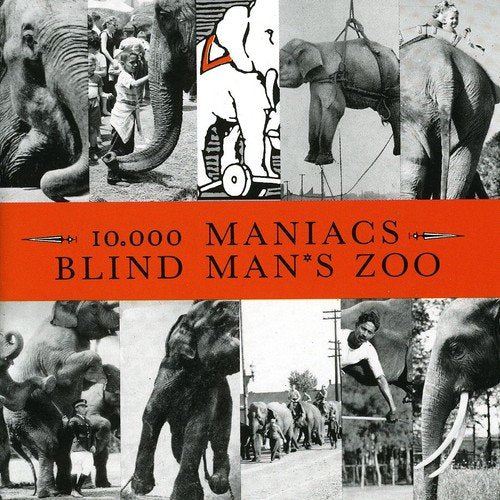 10,000 Maniacs - Blind Man's Zoo CD | Alternative Rock Vinyl Record | Perfect for Home Listening & Music Collectors