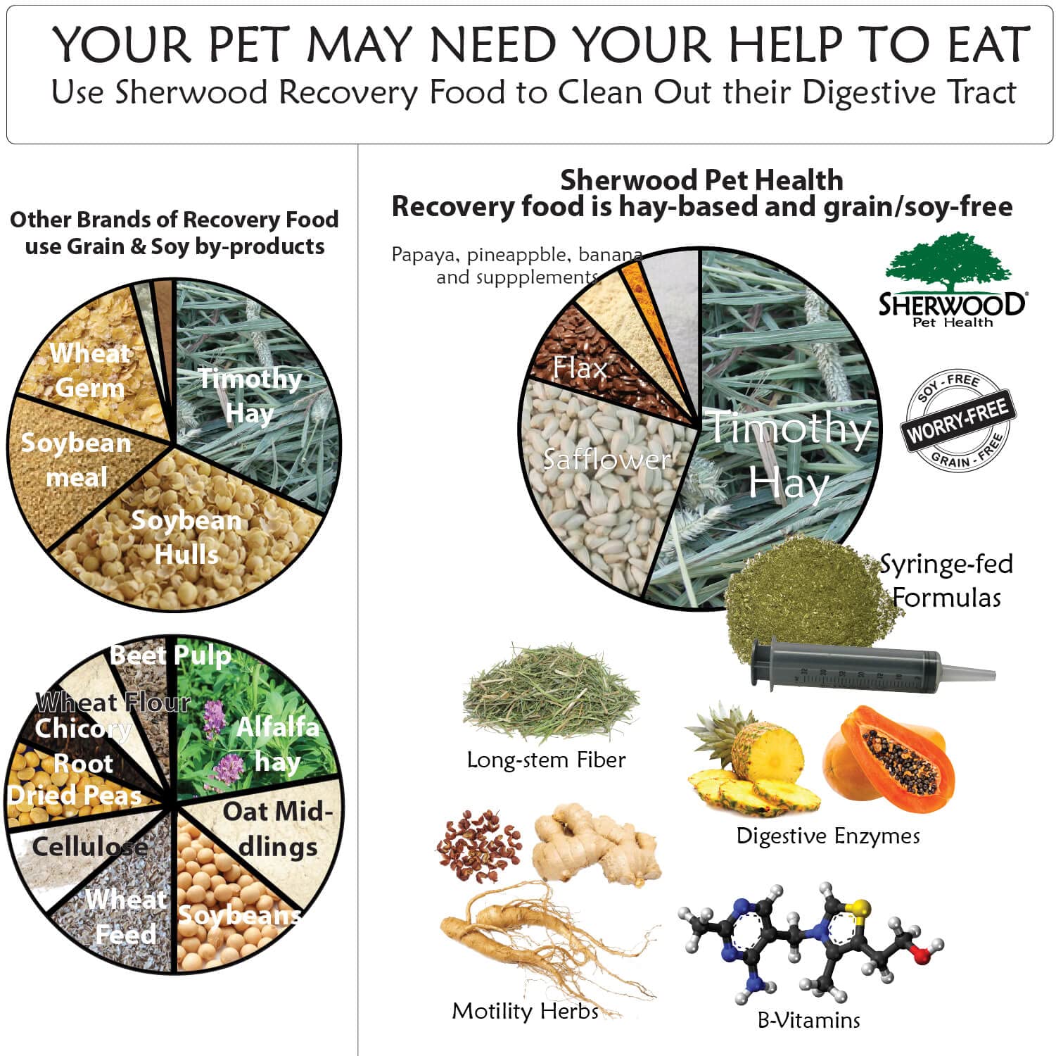 Sherwood Pet Health Rabbit Emergency Kit & Bulk Recovery Food – Large Kit for Small Animals | First Aid & Nutritional Support for Rabbits, Guinea Pigs, Chinchillas | Perfect for Emergencies, Travel & Daily Care
