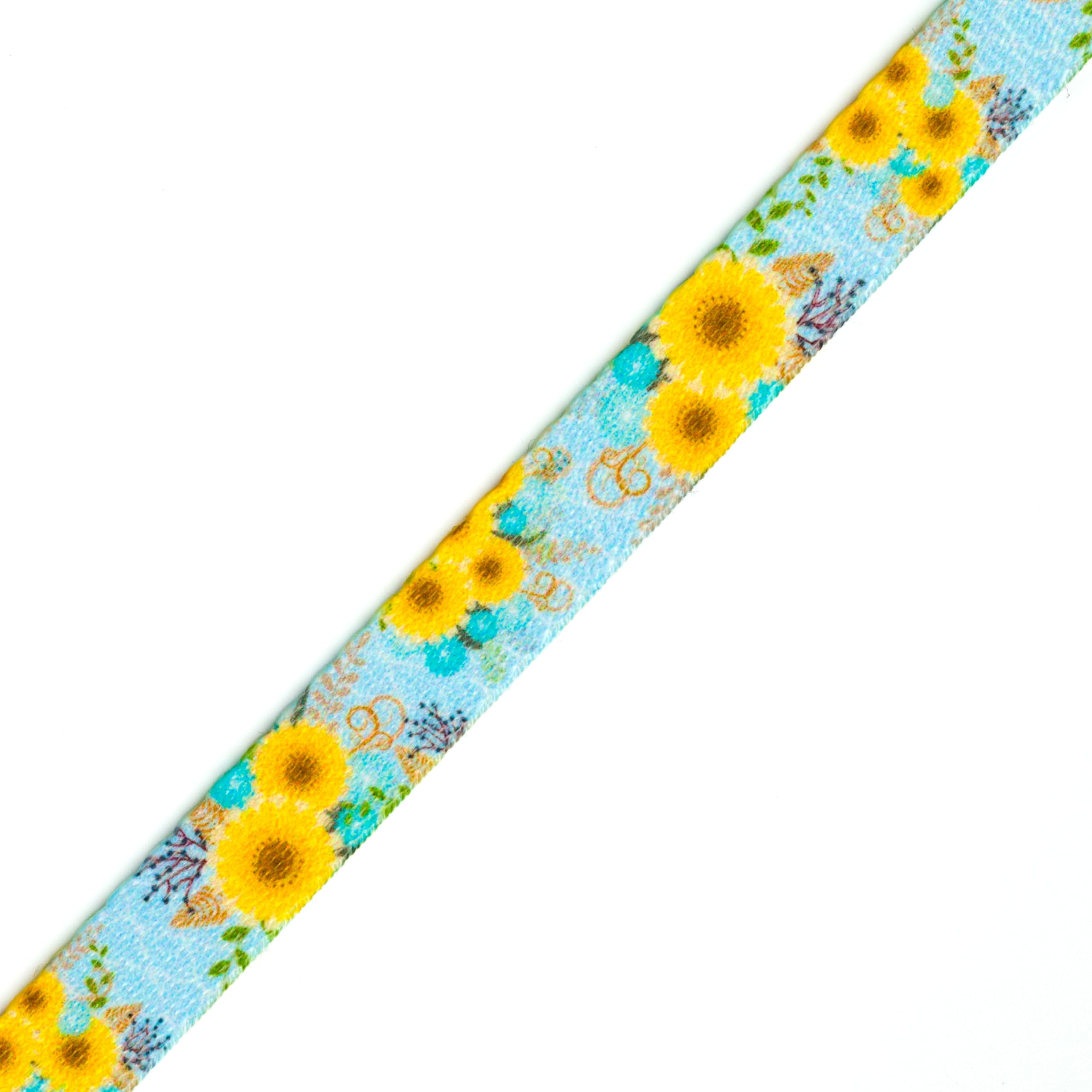 Country Brook Design - Sunny Days Polyester Webbing Dog Collar & Leash Set - Durable Outdoor Pet Accessories for Walking, Training & Daily Use