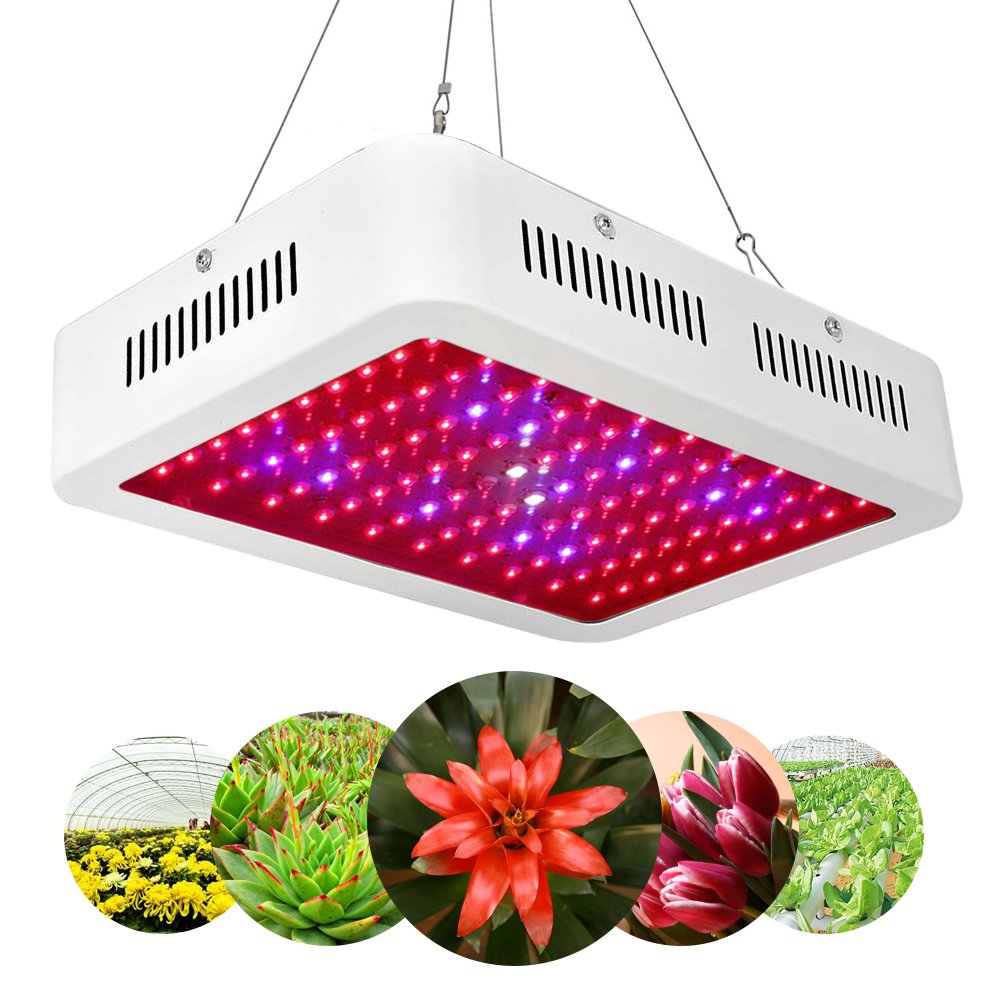 600W Full Spectrum LED Grow Light for Indoor Plants - Dual Chip 380-730nm Plant Growing Lamp with Hanging Kit - Ideal for Hydroponics, Greenhouse, Seedlings, Vegetables & Flower Growth