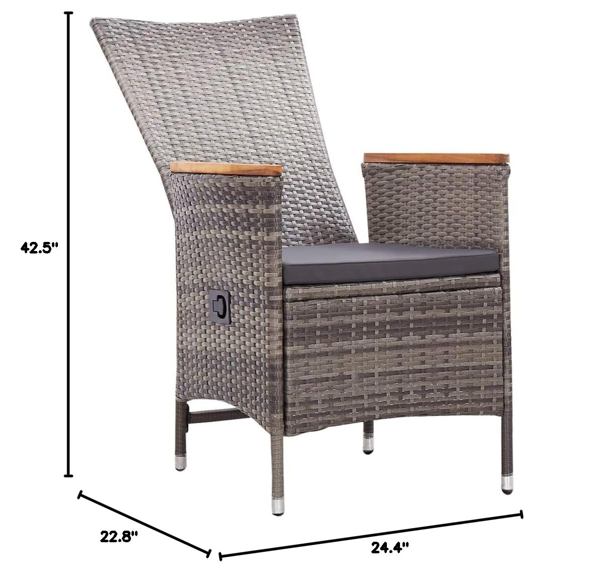 FAMIROSA 2-Piece Outdoor Patio Chairs Set with Cushions - Gray Poly Rattan Furniture for Garden, Poolside, Deck & Backyard Relaxation