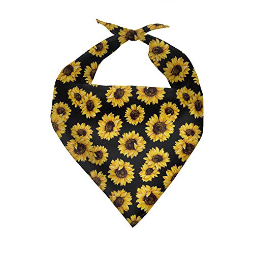 0-sunflower