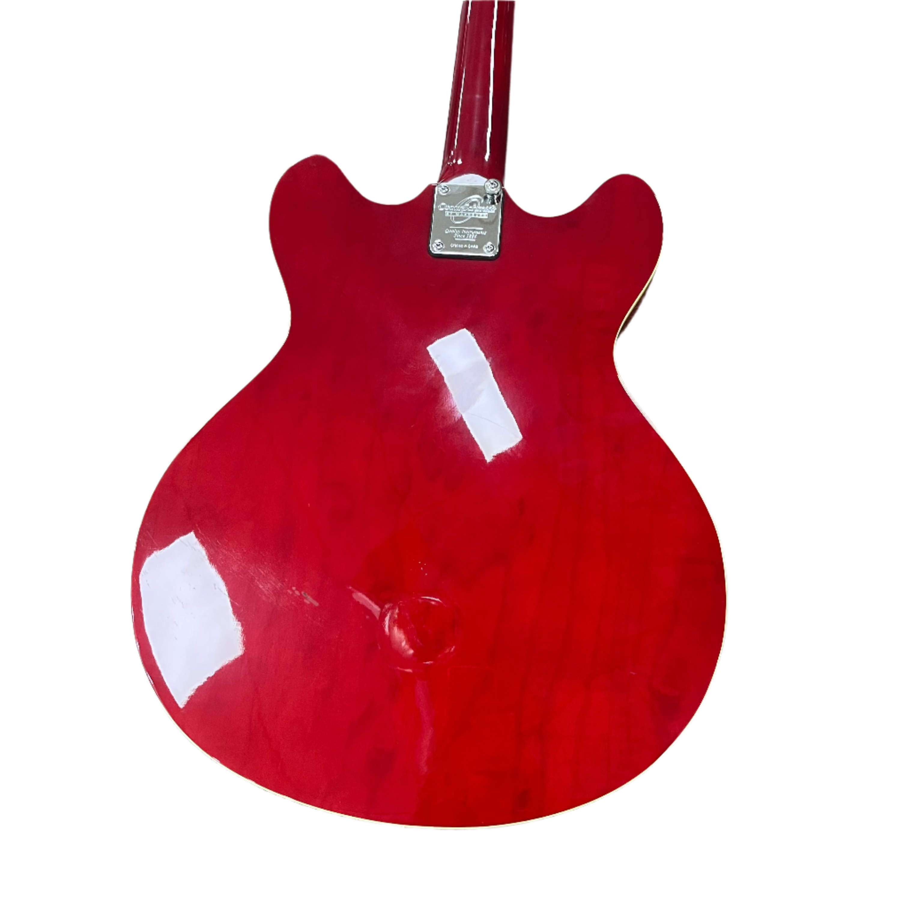 Oscar Schmidt Delta King OE30 Hollow Body Electric Guitar - Professional Jazz & Blues Guitar for Stage & Studio Performance