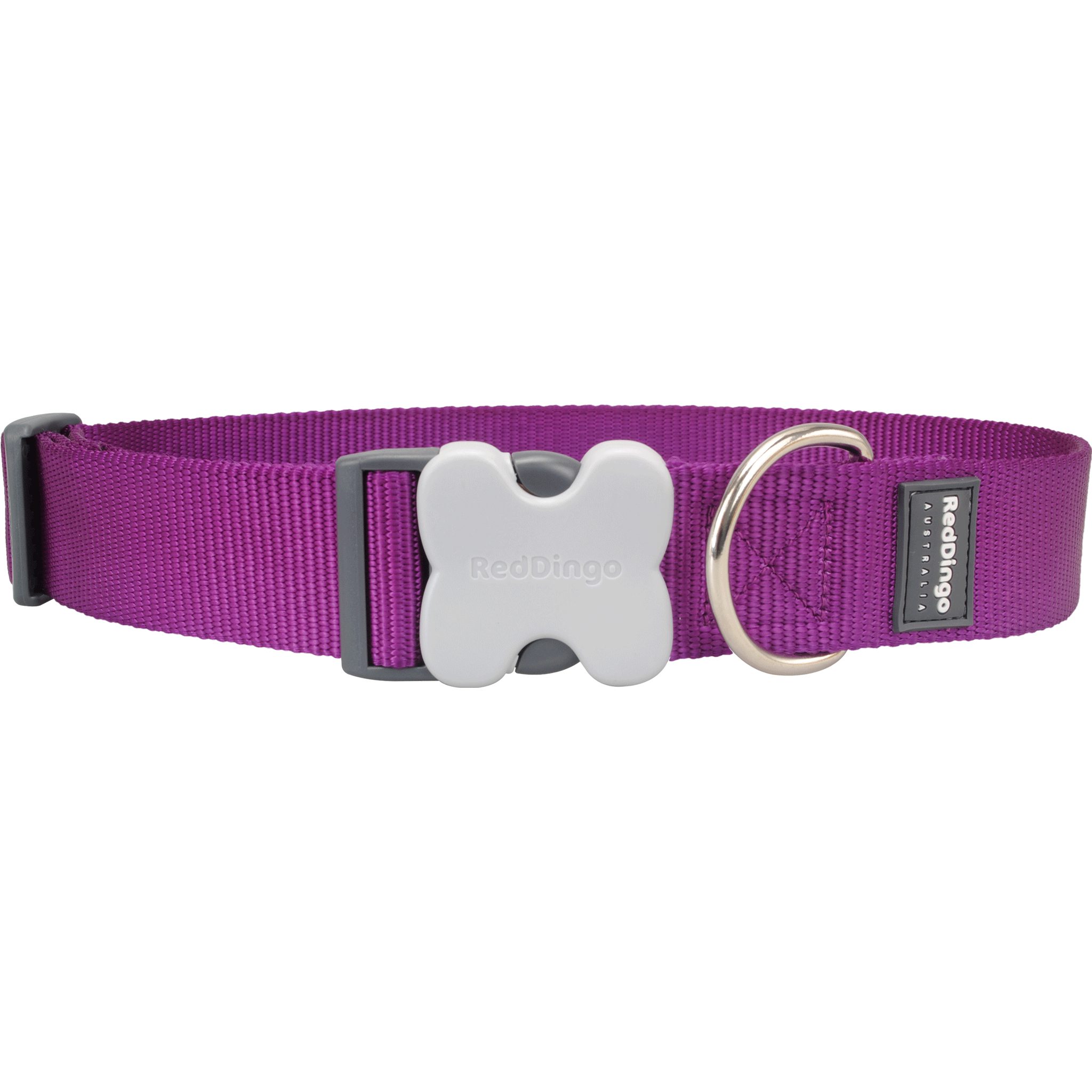 Red Dingo Purple Bucklebone Classic Dog Collar - Durable Nylon Pet Collar with Metal Buckle for Small Medium Large Dogs - Perfect for Walking, Training & Outdoor Adventures