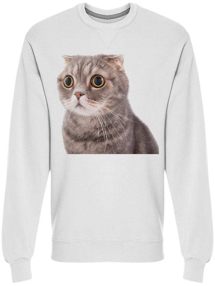 Scared Cat With Big Eyes Men's Sweatshirt - Funny Halloween Graphic Hoodie for Casual Wear & Cat Lovers