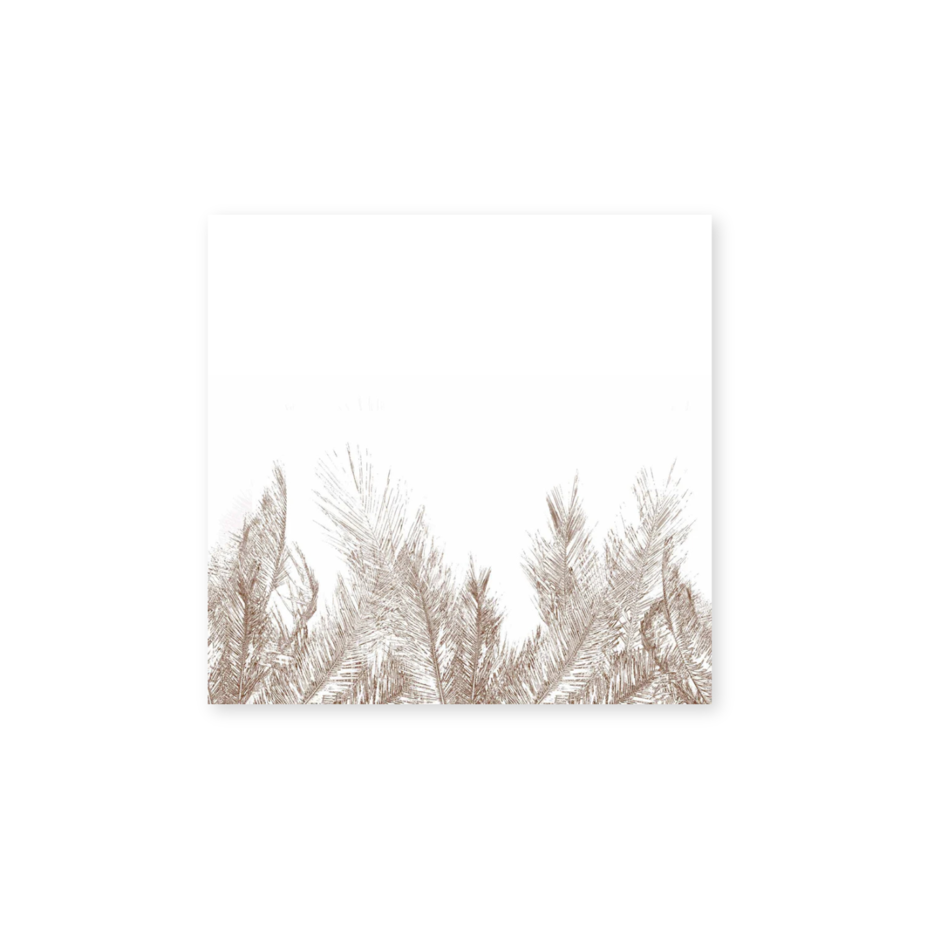 Premium Disposable Paper Cocktail Napkins - 16 Pack (Pampas Design) for Parties, Weddings & Home Entertaining - Eco-Friendly Drink Coasters for Bars, Restaurants & Events