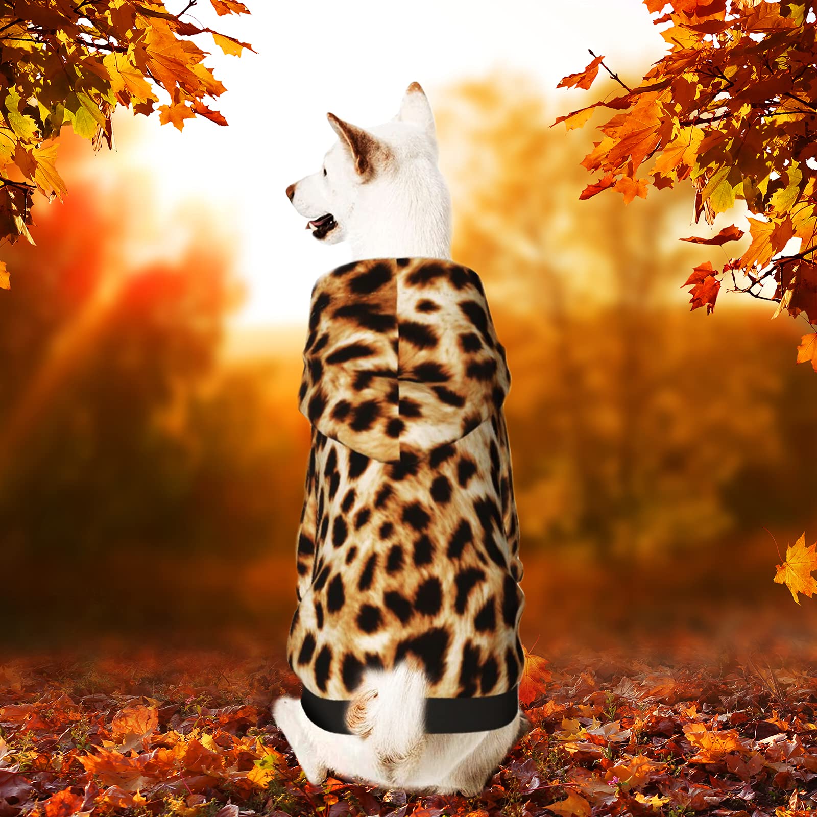 Dog Halloween Costumes & Winter Hoodies with Hat - Warm Pet Clothes for Small & Medium Dogs | Cozy Autumn & Winter Outfits for Costume Parties & Cold Weather