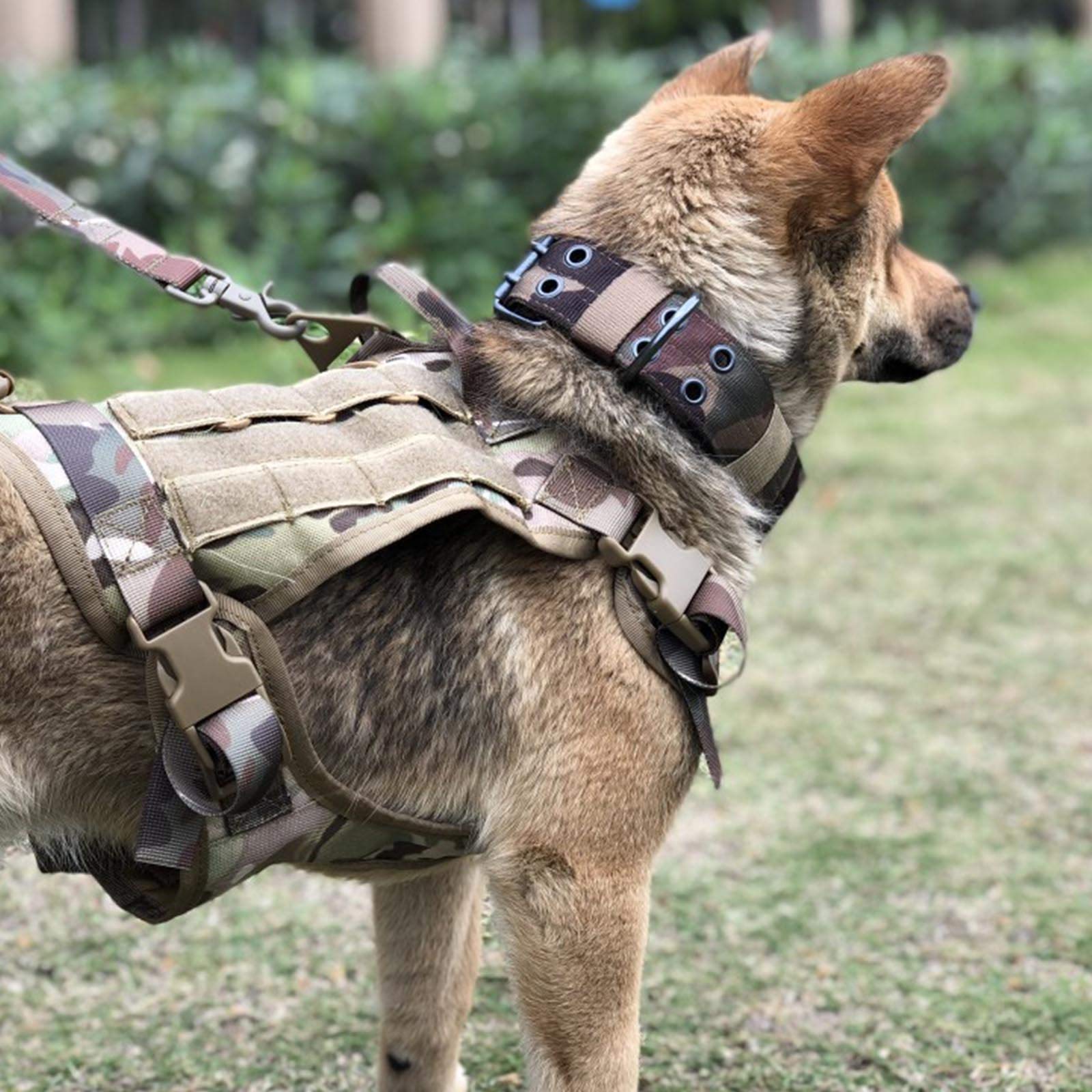 Tactical Dog Vest Harness with Bungee Leash - 1000D Heavy Duty Nylon Molle Vest for Medium & Large Dogs - Perfect for Training, Hiking & Outdoor Adventures