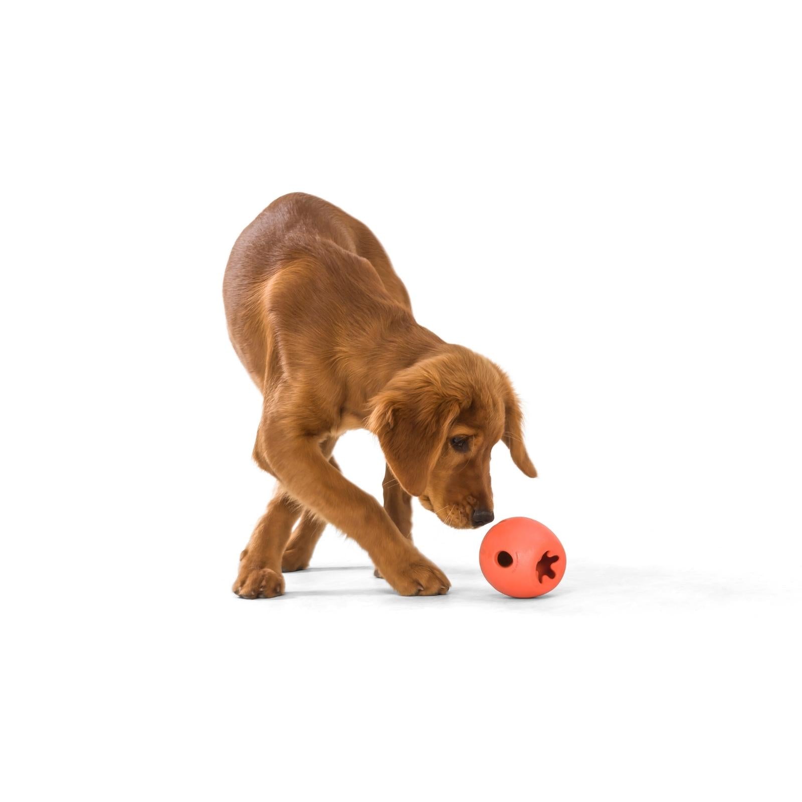 West Paw® Green RUMBL Treat Dispenser Dog Toy - Interactive Puzzle Feeder for Mental Stimulation & Slow Feeding - Perfect for Small, Medium & Large Dogs