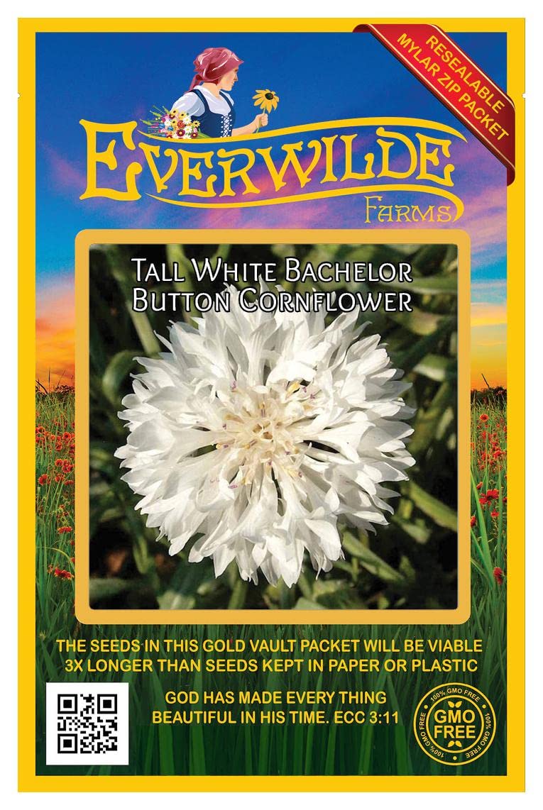 500 Tall White Cornflower Wildflower Seeds - Premium Gold Vault Jumbo Seed Packet for Gardening, Landscaping & Pollinator Gardens - Everwilde Farms USA