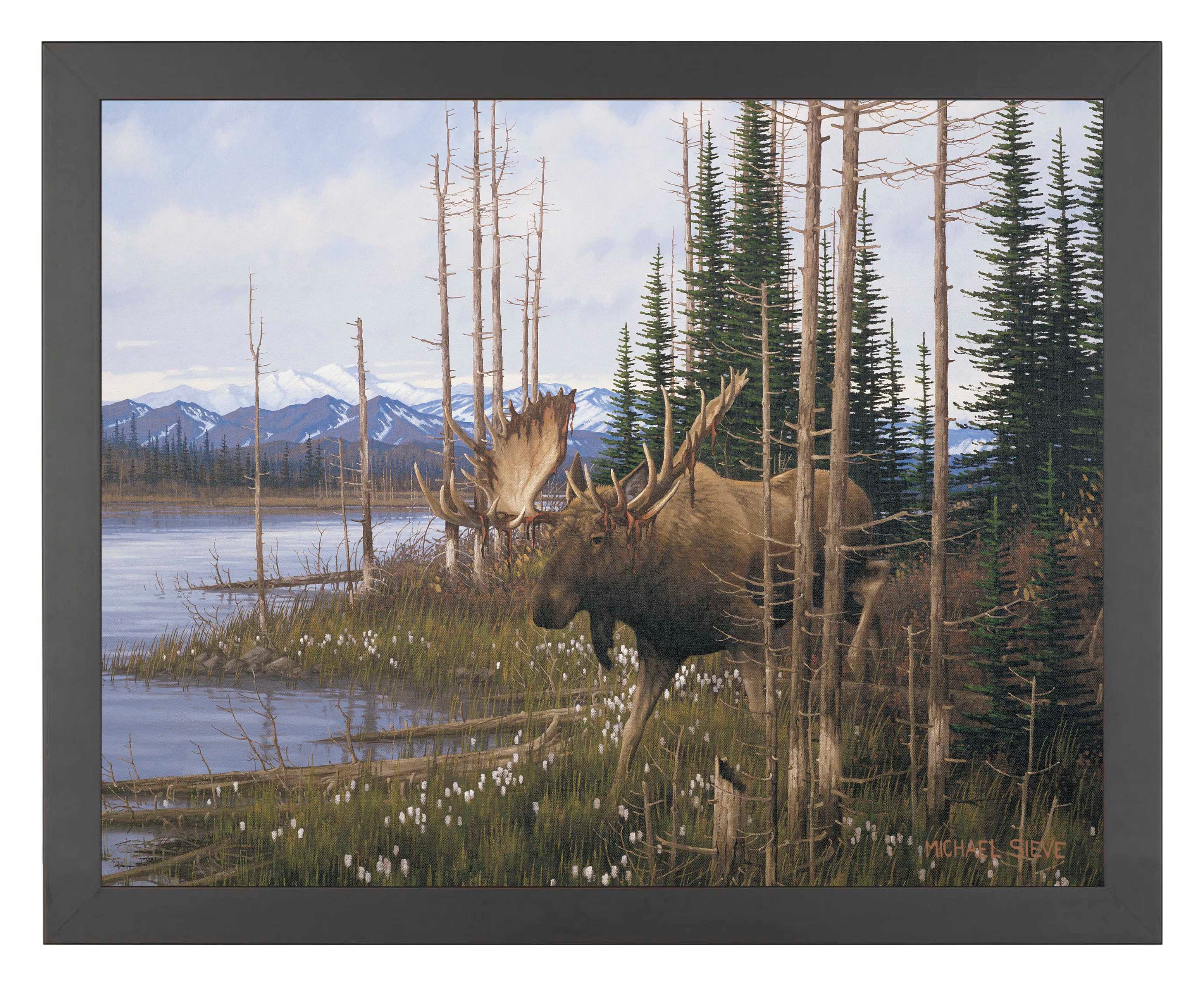 Premium Cotton Grass Meadow Moose Wall Art Print - Nature Wildlife Decor for Living Room, Bedroom & Office