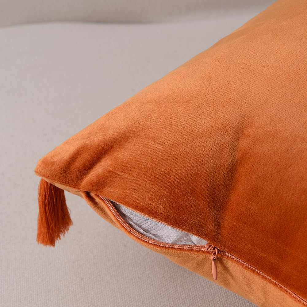 Pack of 2 Fall Orange Decorative Throw Pillow Covers 18x18 Inch (45x45 cm) - Soft Velvet Square Cushion Cases with Handmade Tassels for Couch, Sofa, Bed - Perfect for Living Room, Bedroom & Seasonal Home Decor