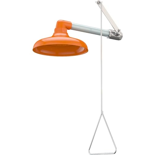 Guardian G1643 Horizontal Emergency Shower with 10