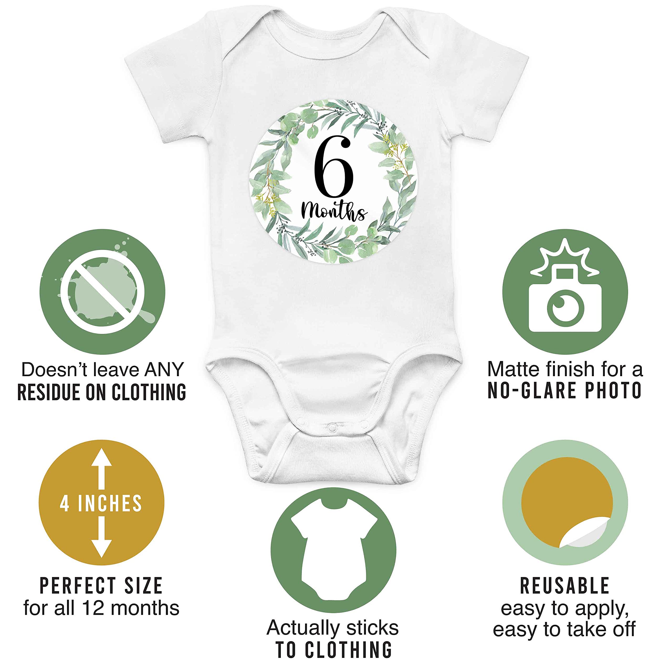 Hadley Designs 20 Pack Greenery Baby Monthly Milestone Stickers - Newborn Photo Props for First Year Memories | Perfect for Baby Shower Gifts, Monthly Photos, and Scrapbooking
