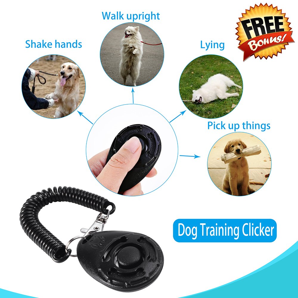 **Reflective 6ft Slip Lead Dog Leash for Large & Medium Dogs - Heavy Duty Training Rope with Strong Pull Resistance - Perfect for Walking, Hiking & Outdoor Adventures**