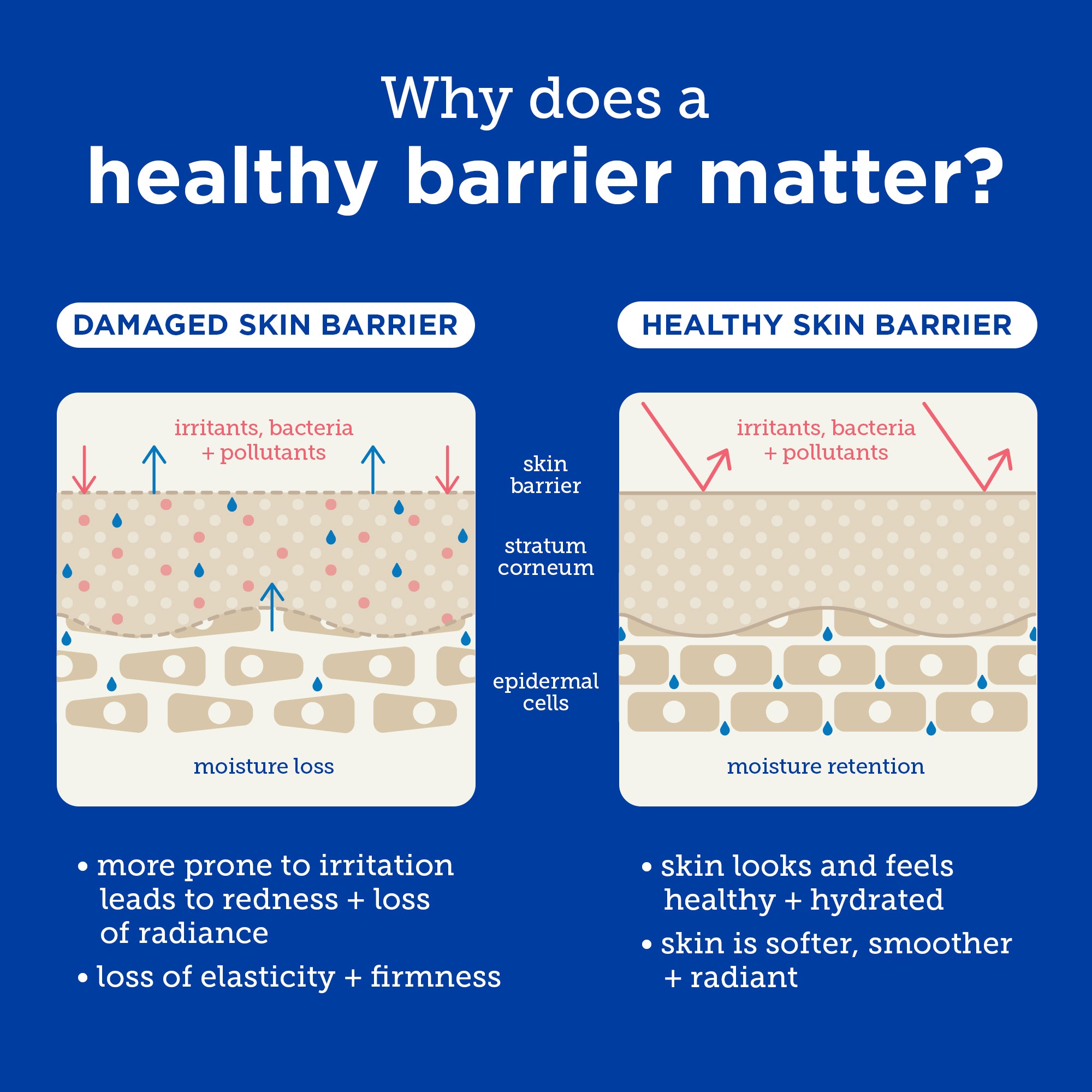 Barrier+ Ceramide & Ectoin Gentle Gel Cleanser - Hydrating Face Wash for Sensitive Skin | Daily Skincare Routine & Post-Workout Refresh