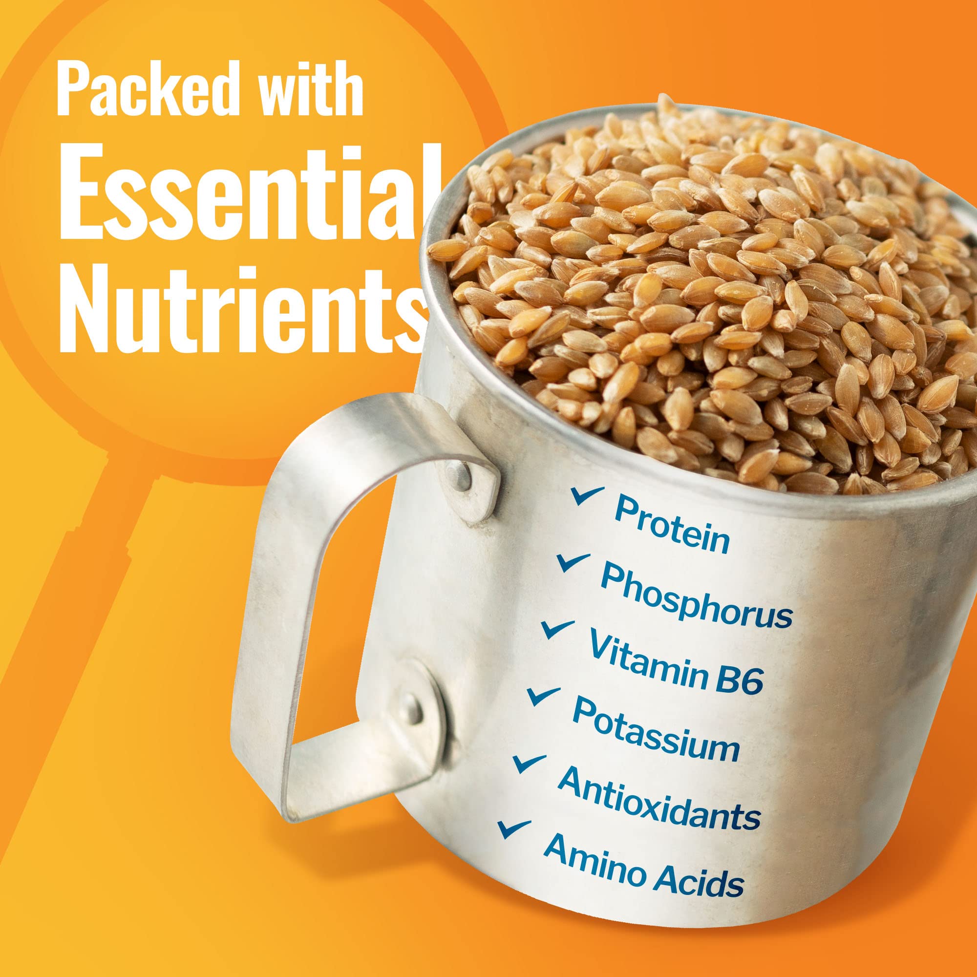 100% Organic Einkorn Berries & Farro Piccolo - Premium Ancient Grains for Milling Flour, Baking Bread, Cooking Pilafs & Soups | 25 lbs Bulk | Perfect for Healthy Homemade Recipes & Artisan Baking