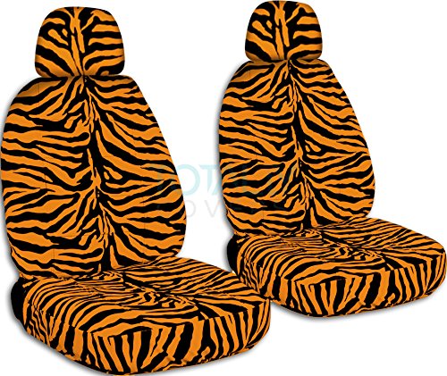 Orange Zebra