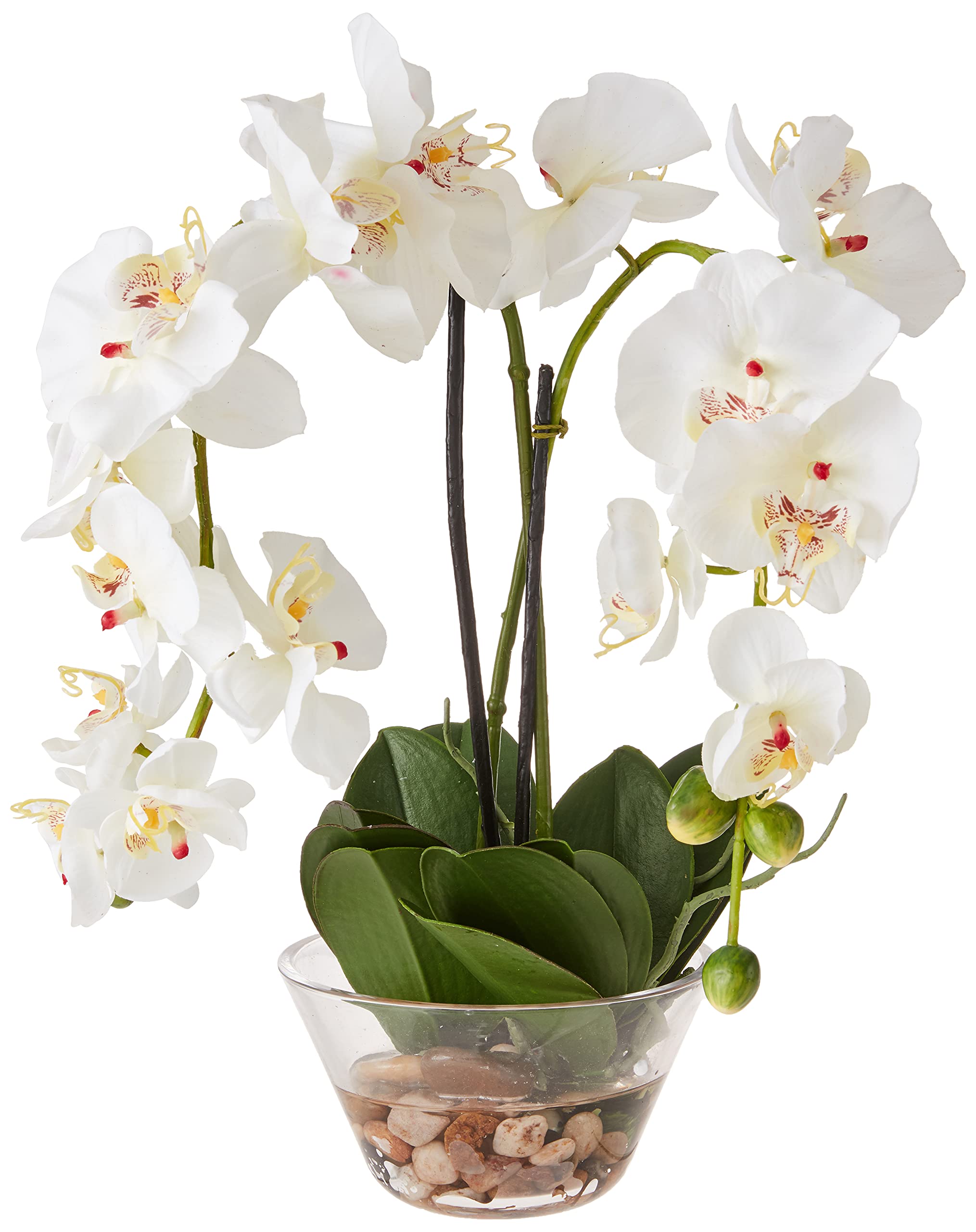 Nearly Natural 4643-WH White Phalaenopsis Silk Flower Arrangement with Glass Vase - 29