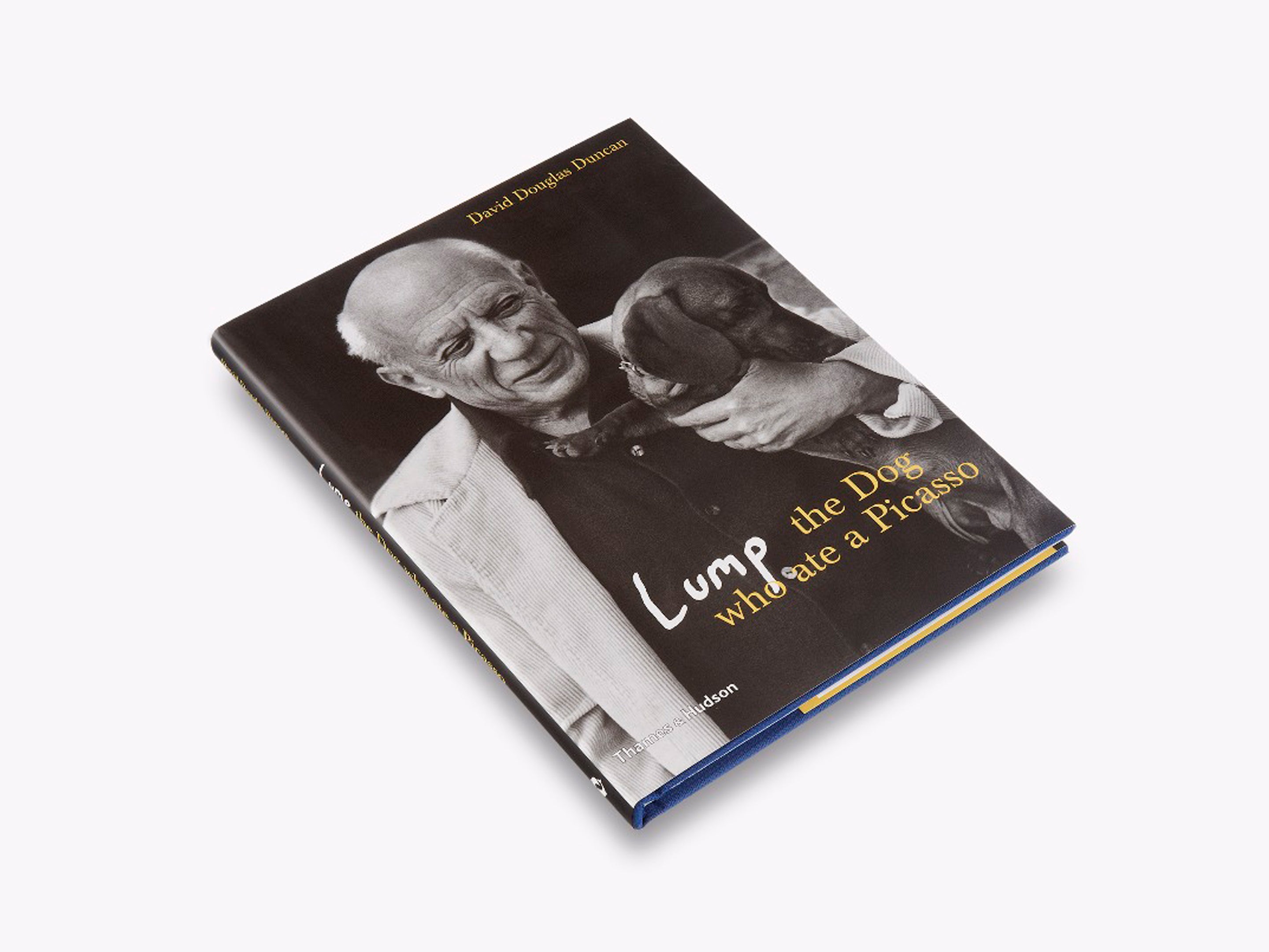 Lump: The Dog Who Ate a Picasso - Funny Pet Story Book for Dog Lovers, Art Enthusiasts & Gift Seekers | Perfect for Reading Aloud, Coffee Table Display & Unique Gifts