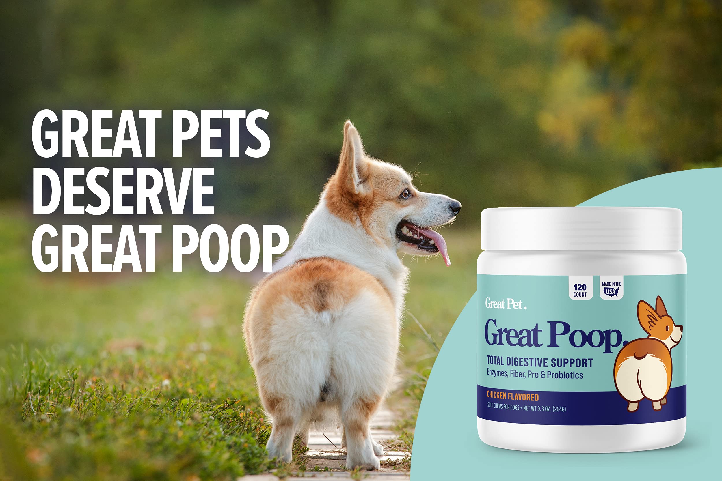 Premium Probiotic Soft Chews for Dogs - Digestive Health Supplement with Probiotics, Prebiotics & Enzymes for Gut Balance, Firm Stools & Diarrhea Relief - Chicken Flavor Dog Treats - Supports Digestion During Diet Changes & Stressful Situations