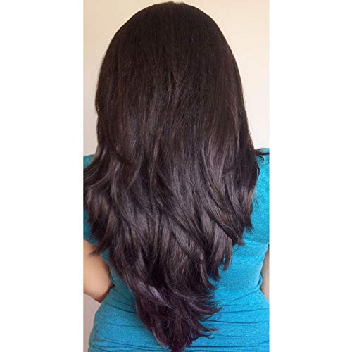 SHAGUNGOLD Black Henna Hair Dye - 100% Natural & Chemical-Free Organic Henna for Hair Coloring & Hair Care (100g Packet) - Safe for DIY Hair Color, Highlights & Gray Coverage at Home