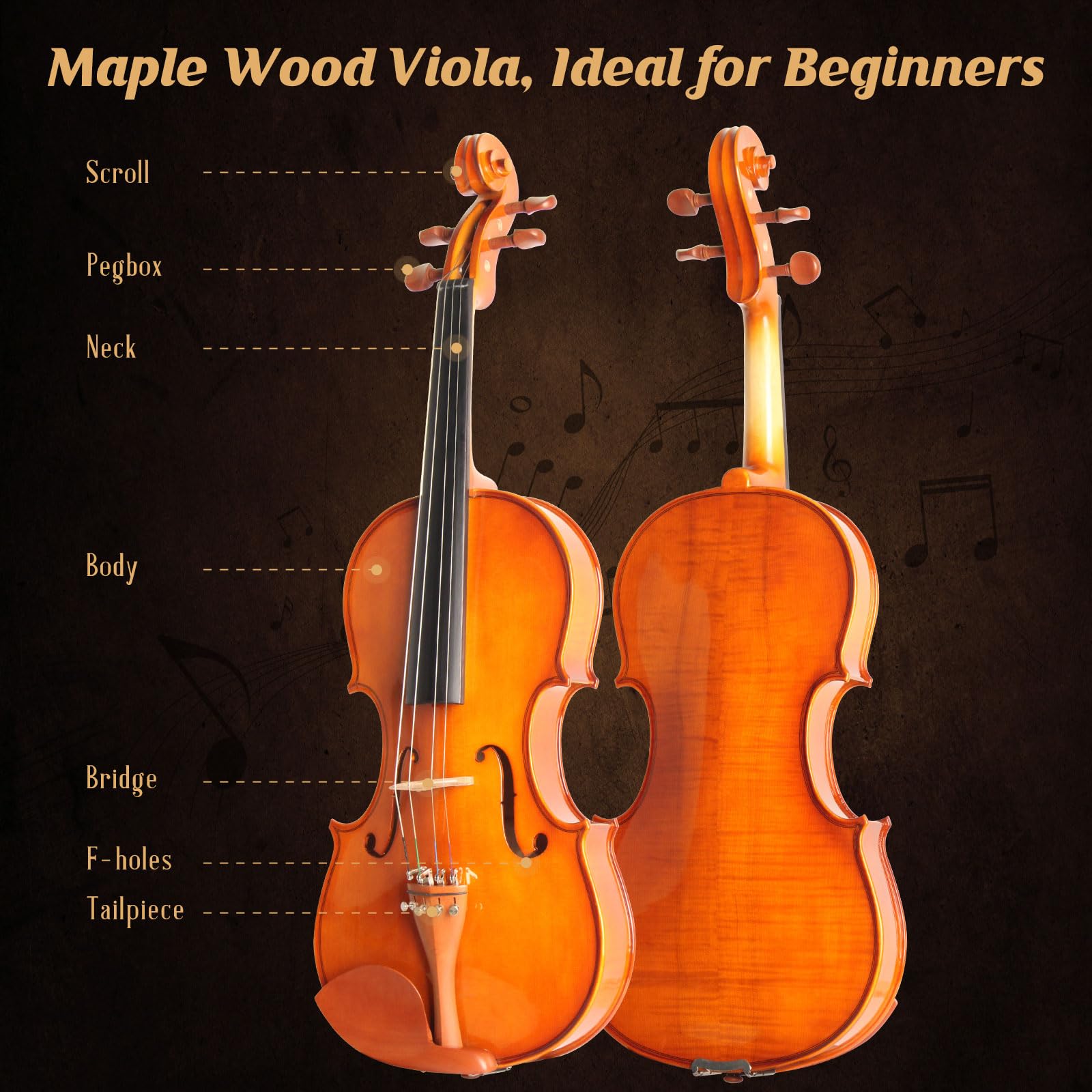 Best Beginner Viola Set (CVA-400) - 13 Inch Solid Wood Acoustic Viola with Hard Case, Bow & Rosin - Ideal for Students, Music Classes & Gifts - Perfect for Home Practice, School Orchestra & Musical Performances
