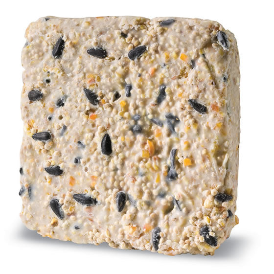 Sunflower Suet Plus Bird Feed Cakes - 12 Pack | High Energy Wild Bird Food for Woodpeckers, Nuthatches & Chickadees | Perfect for Backyard Bird Feeders in Winter & Cold Weather