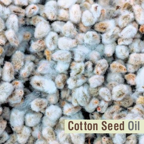 100% Pure & Natural Salvia Cotton Seed Oil - Undiluted Carrier Oil for Aromatherapy & Massage | Therapeutic Grade Essential Oil (50ml) | Perfect for DIY Skincare, Hair Care & Relaxation Therapy