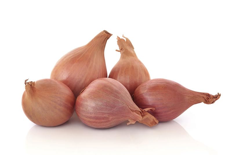 Fresh USA Grown Non-GMO Shallots (Allium schoenoprasum) - Sweet Onion Flavor, 2 Pound Bulk Pack - Perfect for Cooking, Salads & Gourmet Recipes
