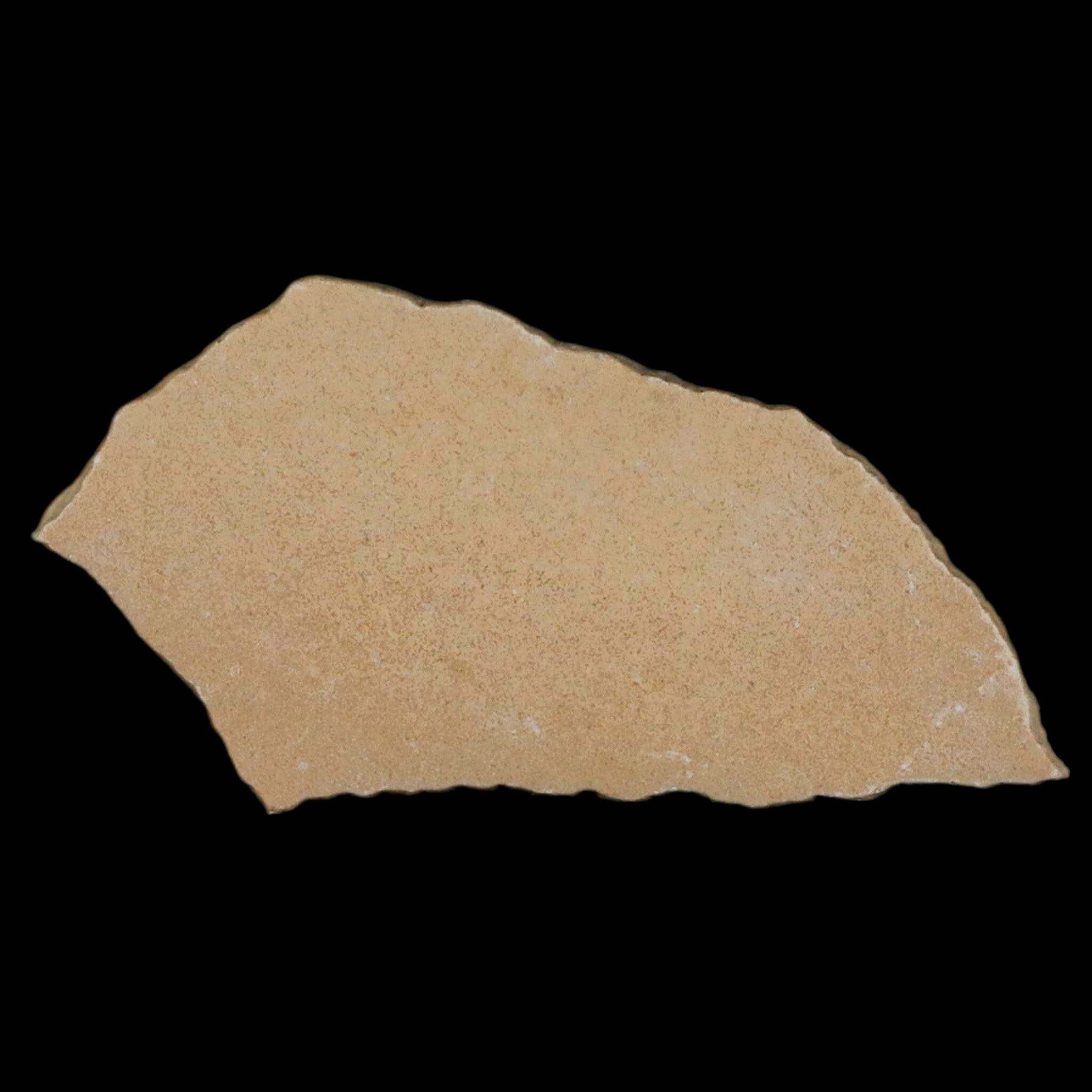 Authentic Aepyornis Maximus Elephant Bird Egg Shell Specimen - Late Pleistocene Fossil from Madagascar - Perfect for Paleontology Collections & Natural History Displays