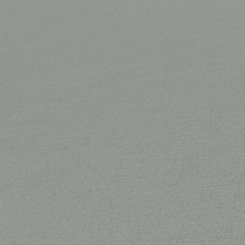 Antigua Plain Satisfaction T-Shirt - Comfortable Cotton Tee for Casual Wear & Everyday Outfits