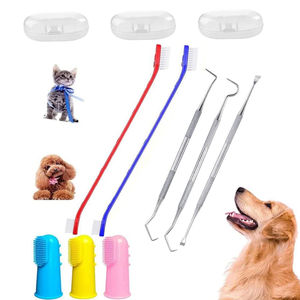 8 Pack Dog Teeth Cleaning Kit - Stainless Steel Plaque Remover, 3 Scrapers, 2 Toothbrushes & 3 Finger Brushes for Small & Large Dogs | At-Home Dental Care for Fresher Breath & Healthier Gums