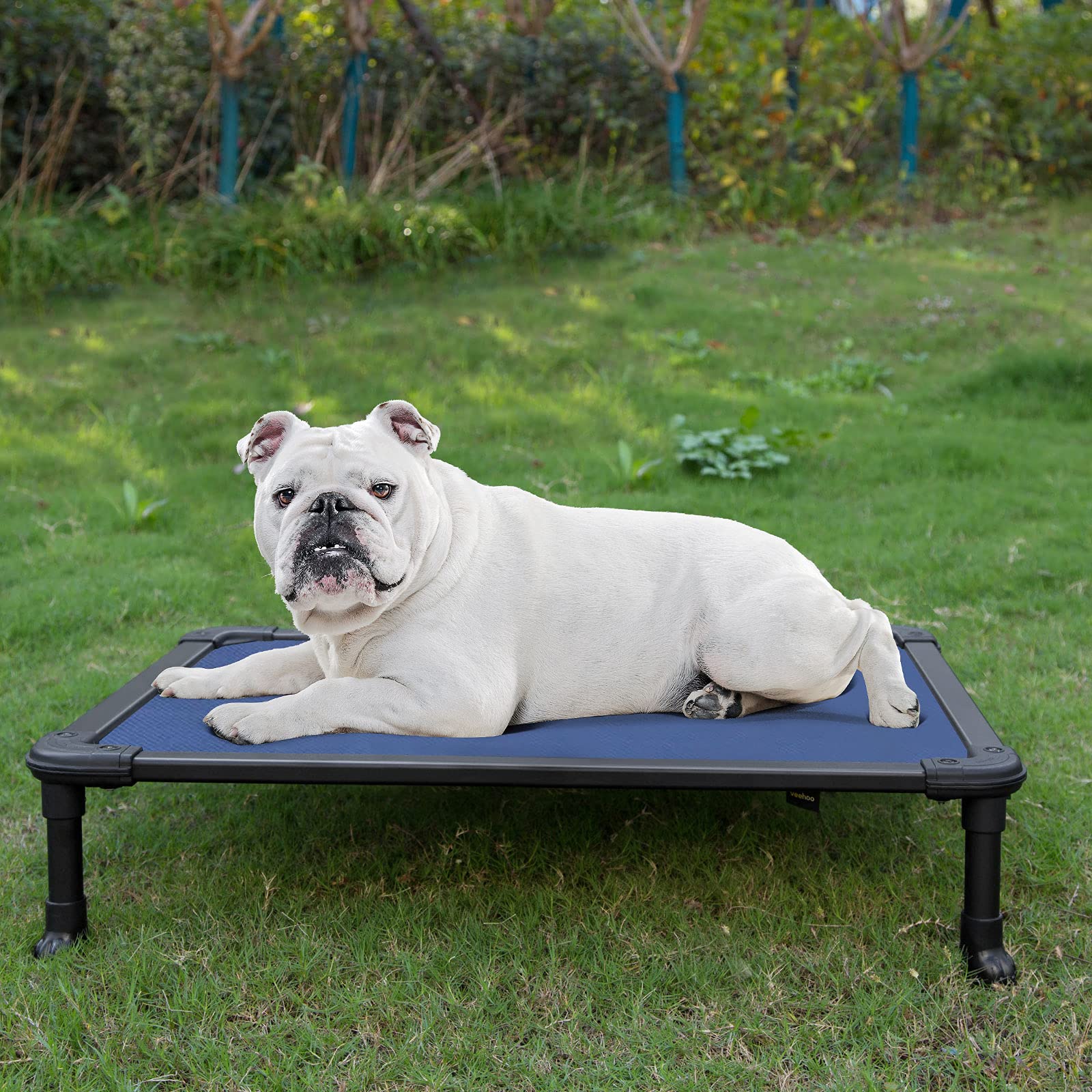 Veehoo Chew Proof Elevated Cooling Dog Bed - Durable Raised Pet Cot with Rustless Aluminum Frame & Textilene Mesh - Non-Slip Feet for Indoor/Outdoor Use - Medium Size Blue (CWC2002) - Perfect for Backyard, Patio, Kennel & Travel