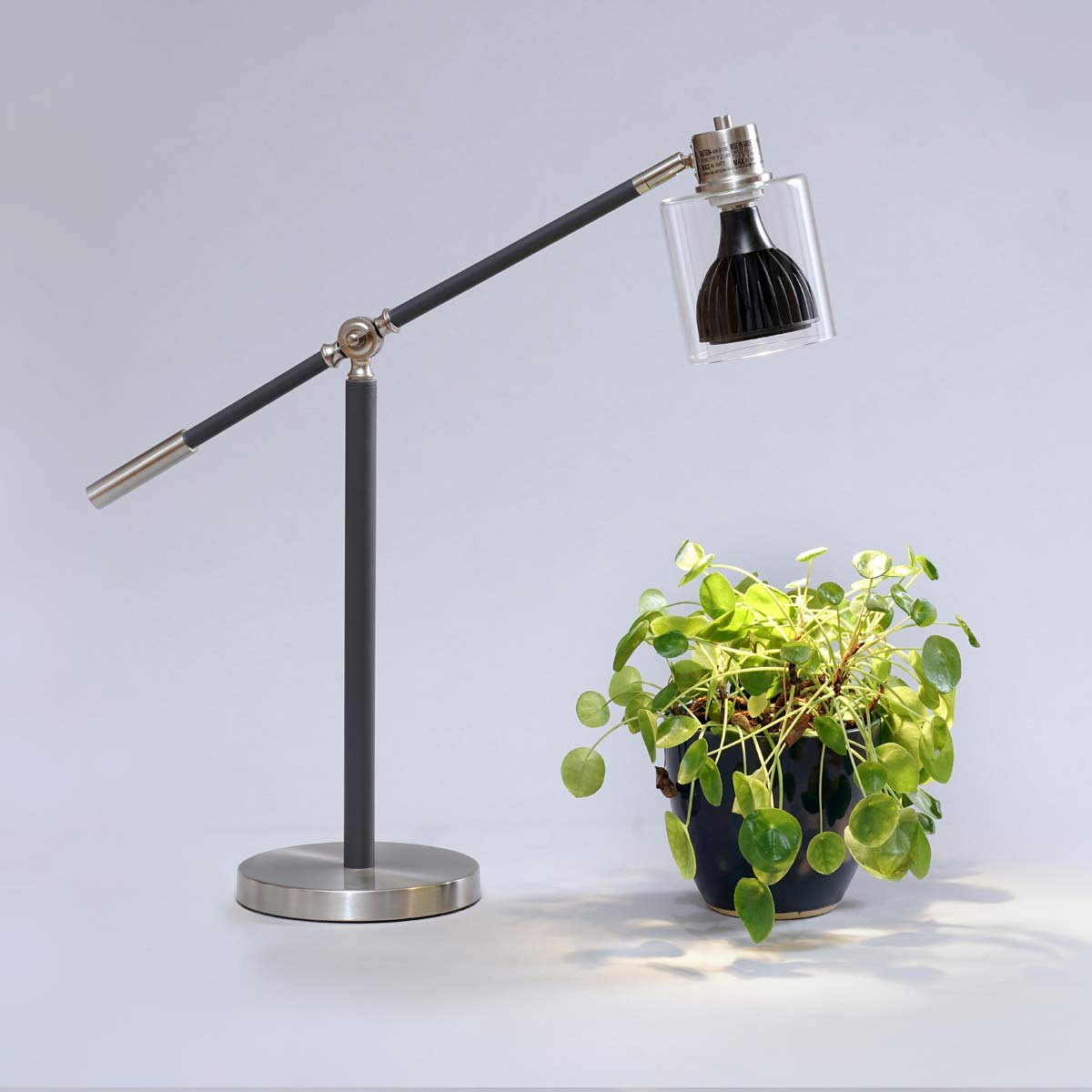 Aspect Vita™ Full Spectrum LED Grow Light Bulb - 20W Dimmable 3000K for Indoor Plants (12