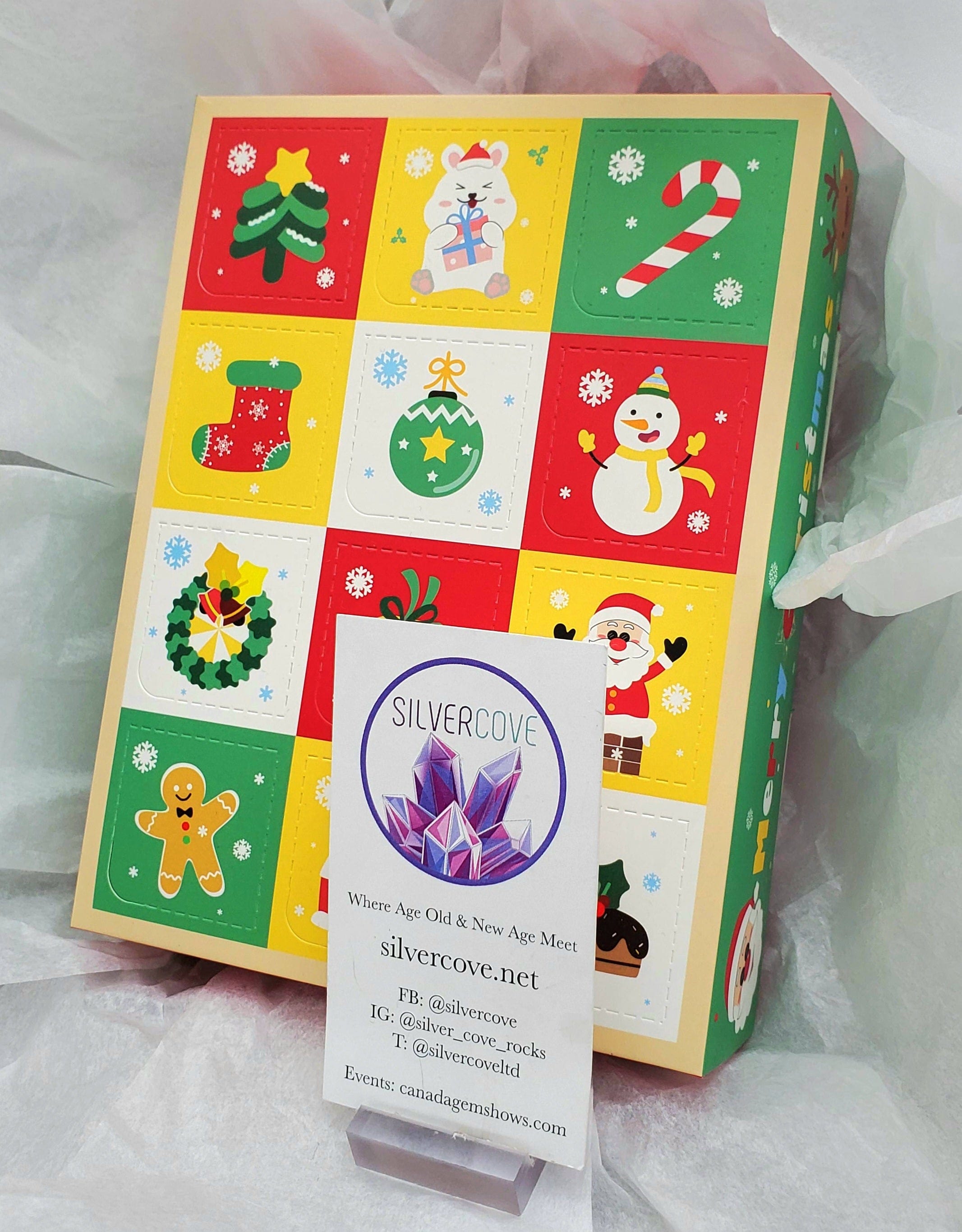 Advent Calendar with Rocks and Gems - 24 Days of Mineral Specimens & Crystals for Kids & Adults - Perfect for Christmas Countdown, Geology Enthusiasts & Science Education