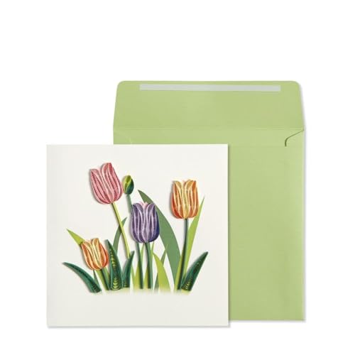 Growing Tulips