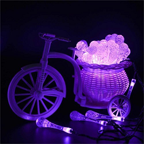 DINOWIN 20ft Solar Drop Lights - 30LEDs Waterproof Fairy Lights for Outdoor, Garden, Christmas Decorations (Purple) | Perfect for Patio, Yard, Wedding & Holiday Lighting