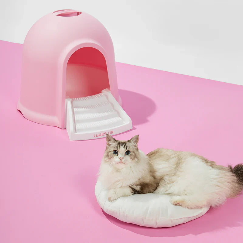 2 in 1 Kitty Litter Box & Cat House - Eco-Friendly Dual Use Litter Cabin with Odor Control - Perfect for Small Spaces & Stylish Home Decor