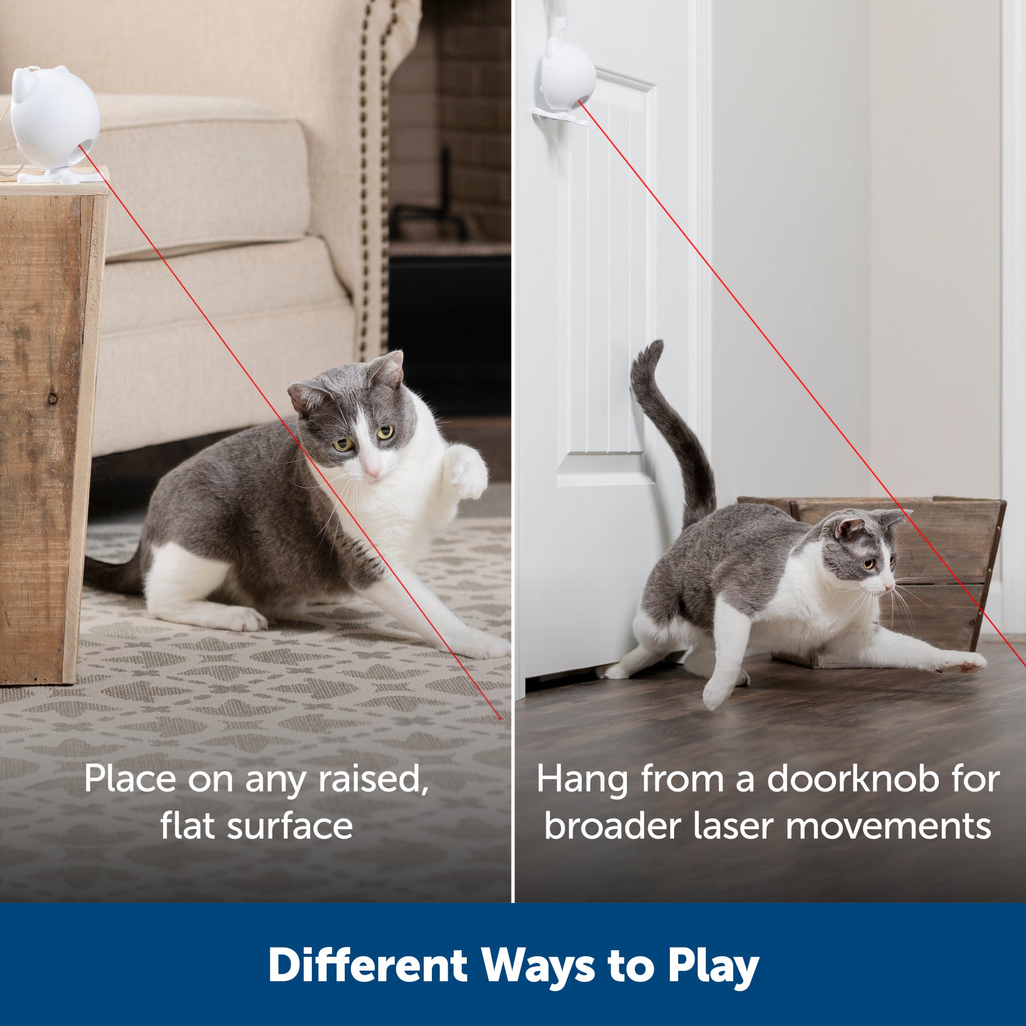 Interactive Automatic Laser Cat Toy - Dancing Dot™ by PetSafe® | Fun Exercise & Play for Indoor Cats | Red Dot Chase Game for Kittens & Adult Cats