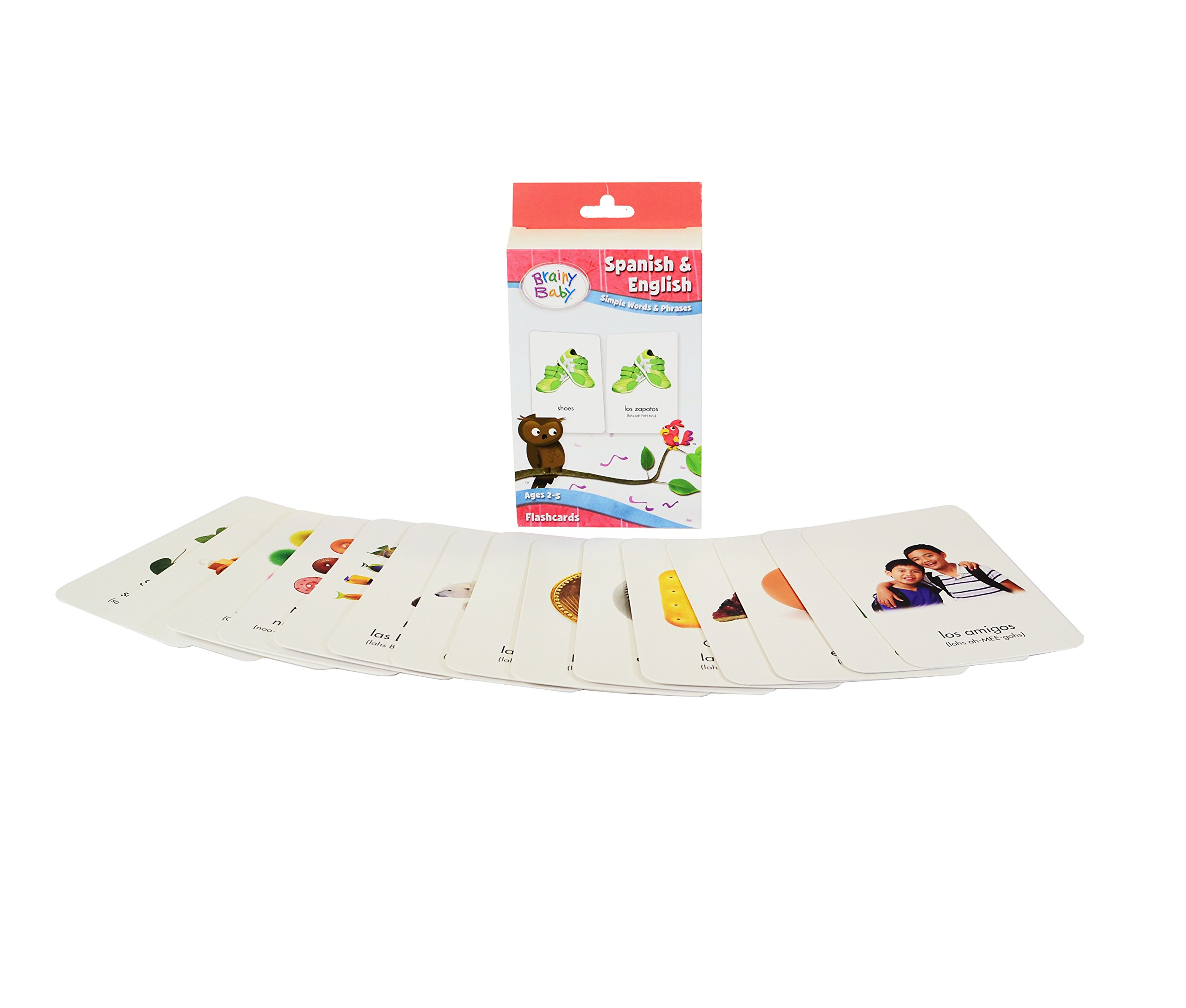 Spanish & English Bilingual Flashcards and Board Book Set - Learn Simple Words & Phrases | Deluxe Edition for Kids, Toddlers & Language Learners | Perfect for Home, Classroom & Travel Learning