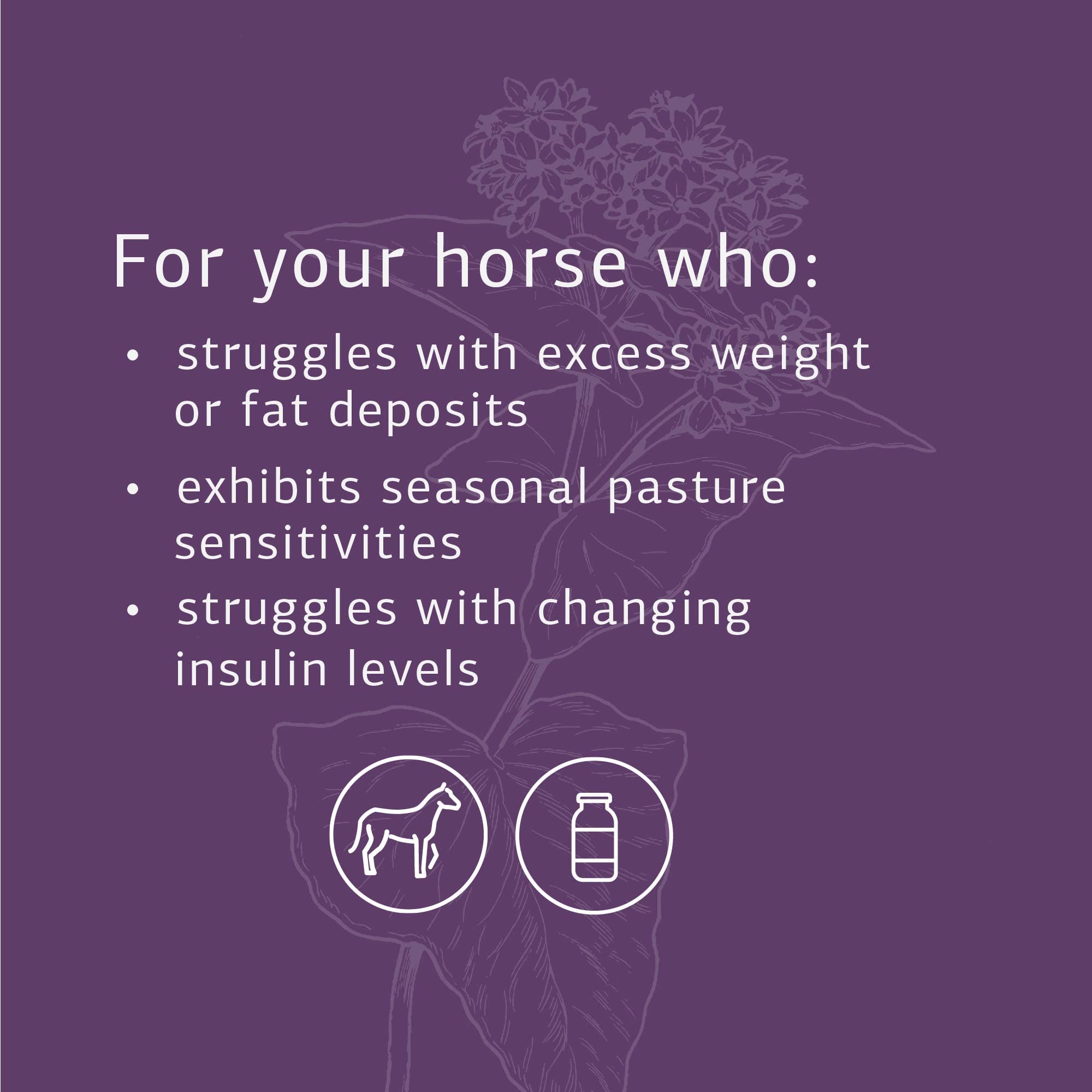 Standard Process Equine Metabolic Support Powder - Whole Food Horse Supplement with Green Tea Extract & Cayenne Pepper - 1134g for Healthy Digestion & Energy - Ideal for Performance Horses & Senior Equines
