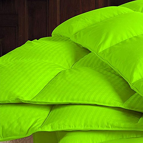 RBS Bedding 650 Thread Count 1-Piece Comforter - 100 GSM Microfiber Fill Box Stitched - Queen/Olympic Queen Size (86x86 inches) - Parrot Green Stripe - 100% Egyptian Cotton - Ultra Soft & Breathable for All-Season Comfort - Perfect for Master Bedroom, Guest Room & Hotel Use
