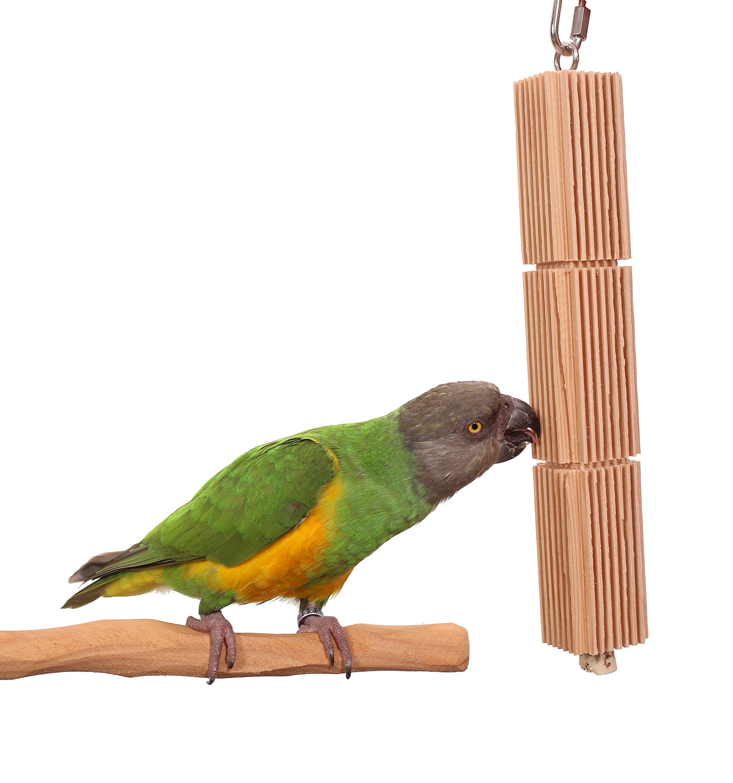 Mini Bird Tower Toy for Small Parrots & Parakeets - Interactive Play Gym for Climbing, Chewing & Exercise | Perfect for Cockatiels, Lovebirds & Conures