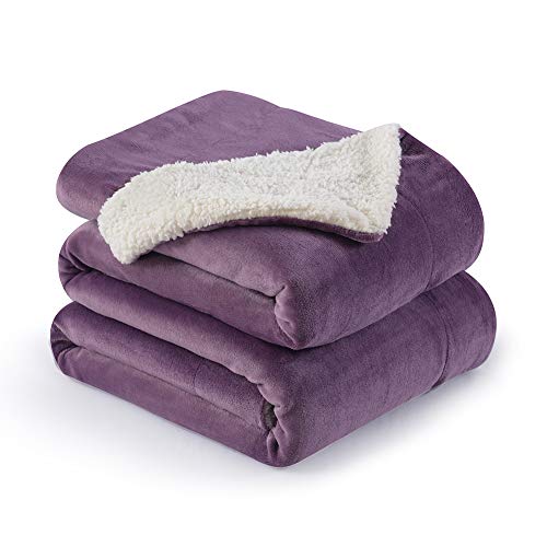 Cassis Purple