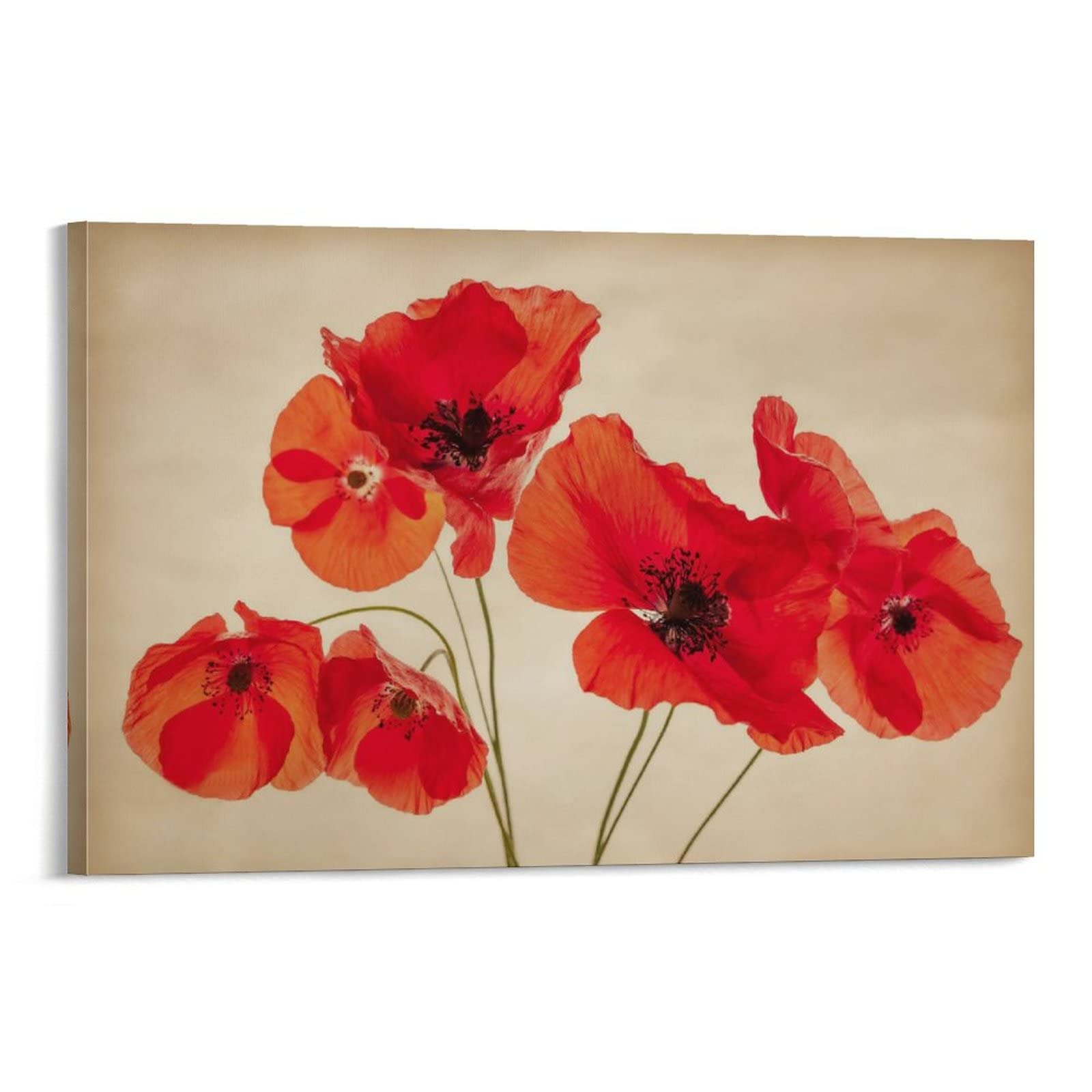 90s Nature Botanical Poster - Red Petals Wall Art Print 16x24 inch (40x60cm) | Vintage Aesthetic Room Decor for Bedroom, Living Room & Office | Framed Posters & Wall Decoration