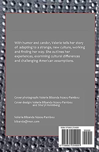 Stranger in America - A Captivating Novel About Cultural Exploration & Identity | Perfect for Book Clubs & Travel Enthusiasts