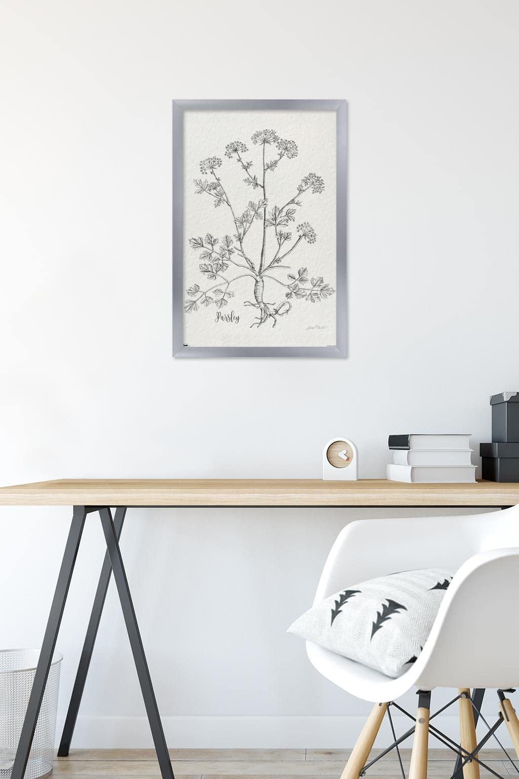 Trends International Jean Plout - Botanical Studies Parsley Wall Art Poster, 14.725 x 22.375 Inches, Silver Frame - Perfect for Home Decor, Office, or Gift
