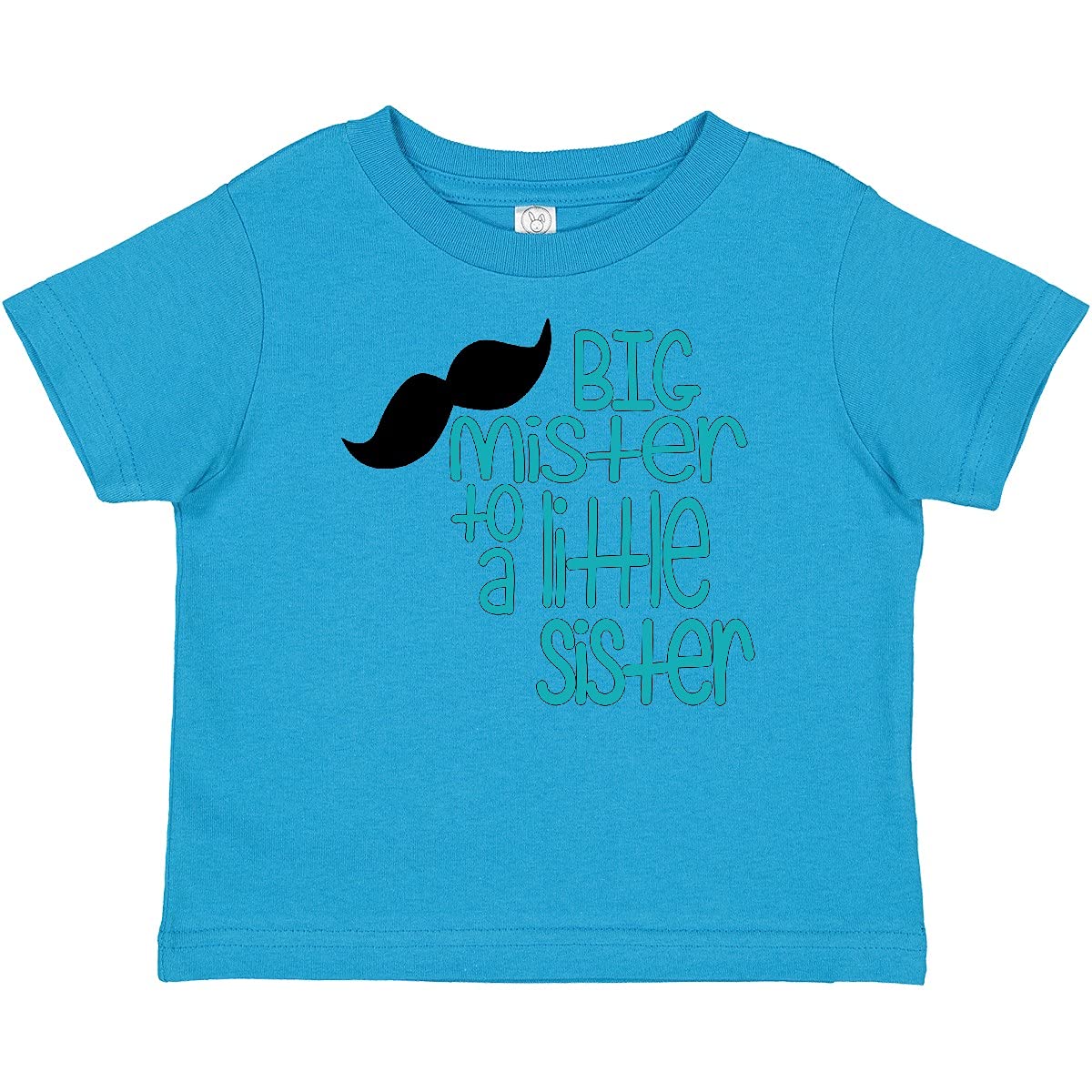 Inktastic Big Mister to a Little Sister Baby T-Shirt - Cute Sibling Matching Outfit for Family Photos & Special Occasions
